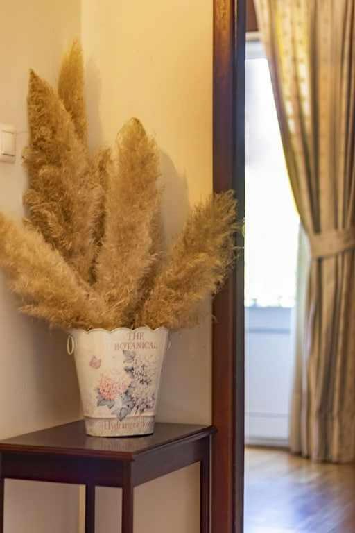 Quintinha De Sabadim - 500 Metros Da Ecovia De Sistelo Villa Arcos de Valdevez Exteriör bild
